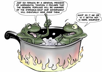 frog in a pot