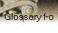 Glossary f-o