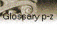 Glossary p-z