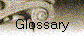 Glossary