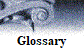 Glossary