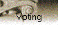 Voting