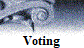 Voting